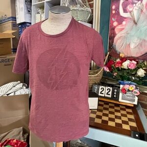 DC Comics The Flash Logo T Shirt Medium